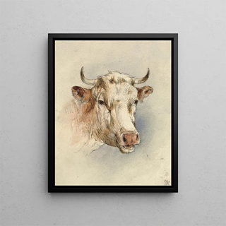Head of a Bull - Anonymous — framed artwork on a wall