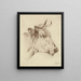 Head of Cow - Anonymous — framed artwork on a wall