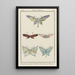 Reproduction of the painting Journal des Dames et des Modes, Costumes Parisiens 1913, No 88, Papillons naturels montés - Anonyme