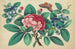 Large Red Flower, Blue Flowers, Butterfly - Anonymous — artwork view
