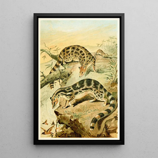 Reproduction of the painting Linsangs - Anonymous