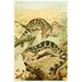 Reproduction of the painting Linsangs - Anonymous