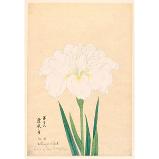 Moon of the icy night Shimoyo no Tsuki - Anonymous — artwork view