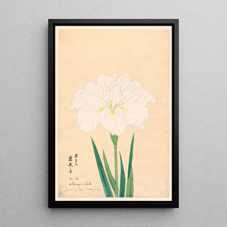 Moon of the icy night Shimoyo no Tsuki - Anonymous — framed artwork on a wall
