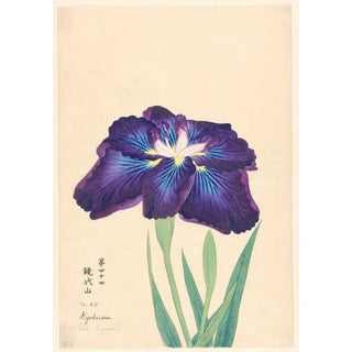 Mont Kyodai Kyodaisan - Anonymous — artwork view