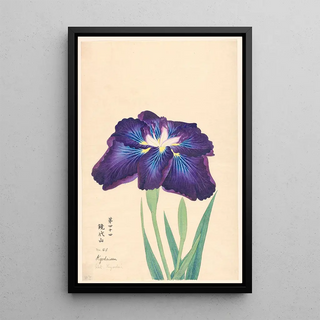 Mont Kyodai Kyodaisan - Anonymous — framed artwork on a wall