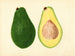 Persea parfaita - Anonymous — artwork view