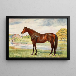 Kaki Painting - Anonymous — framed artwork on a wall