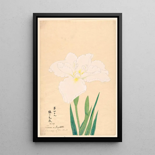 Reproduction of the painting Plumage de la cigogne Tsuru no Kegoromo - Anonyme