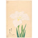 Reproduction of the painting Plumage de la cigogne Tsuru no Kegoromo - Anonyme