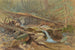 Pond in the Woods - Anonymous — artwork view