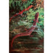 Salamandre violette et salamandre rouge - Anonyme — artwork view