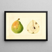 Pyrus communis - Anonymous — framed artwork on a wall