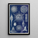 Radiolarian Painting - Anonymous — framed artwork on a wall