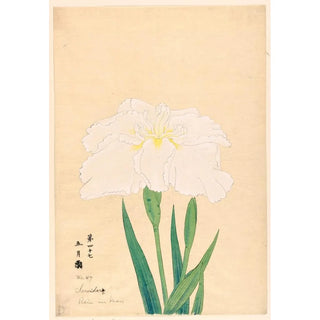 Reproduction of the painting Rain in May Samidare - Anonymous