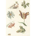 Reproduction of the painting God of the River, a Dragon, and Four Flowers - Anonymous