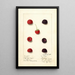 Rubus - Anonymous — framed artwork on a wall