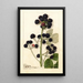 Rubus Cumberland - Anonymous — artwork view