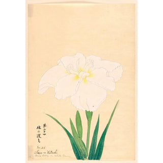 Reproduction of the painting Sano no Watshi Sano Ferry or White Dawn - Anonymous