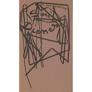 Sari Dienes an environment - Anonymous — artwork view