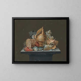 a Still life with shells - Anonymous — framed artwork on a wall