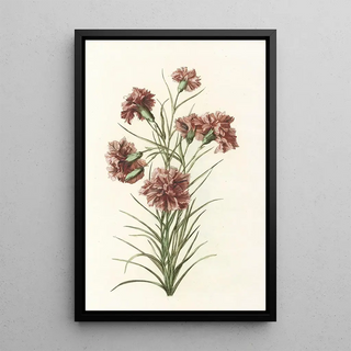 Anonymous - Tak met zes anjers.webp