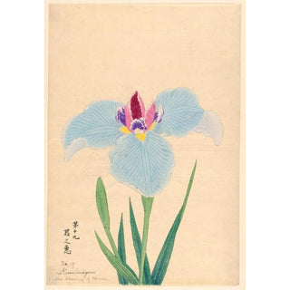 The Blessing of Heaven Kiminomegumi - Anonymous — artwork view