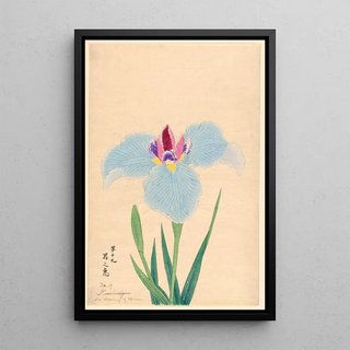 The Blessing of Heaven Kiminomegumi - Anonymous — framed artwork on a wall