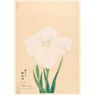 Reproduction of the painting The Faithful Wild Bird Kigaunomisao - Anonymous
