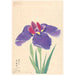 Reproduction of the painting La Plume d'un Grand Oiseau Otorige - Anonymous