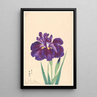 L'Ours Combattant Kuma Funjin - Anonymous — framed artwork on a wall