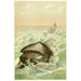 The Greenland Whale - Anonymous — artwork view