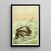 The Greenland Whale - Anonymous — framed artwork on a wall