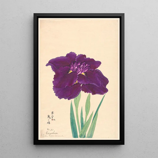 L'Île des Ogres Onigashima - Anonymous — framed artwork on a wall