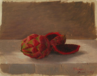 The Fruit Pitahaya of Colombia - Anonymous — artwork view