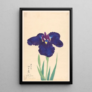 The Pride of Yedo YedoJiman - Anonymous — framed artwork on a wall