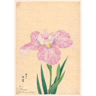 Reproduction of the painting L'Oiseau Chantant Meiran - Anonymous