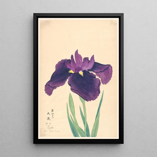 La Mare Tranquille Oyodo - Anonymous — framed artwork on a wall