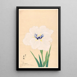 Reproduction of the painting The True White Crane Manazuru - Anonymous