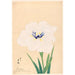 Reproduction of the painting The True White Crane Manazuru - Anonymous