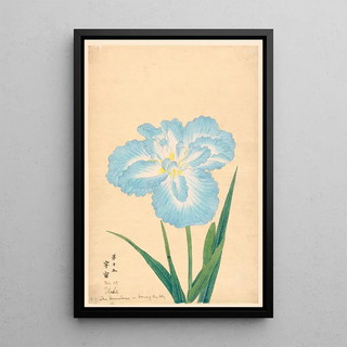 L'univers ou Dôme du ciel Uchu - Anonymous — framed artwork on a wall