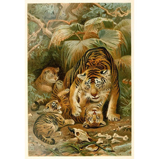 Tigresse et petits - Anonymous — artwork view