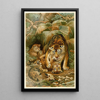 Tigresse et petits - Anonymous — framed artwork on a wall