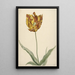 Reproduction of the painting Tulip Painting - Anonymous