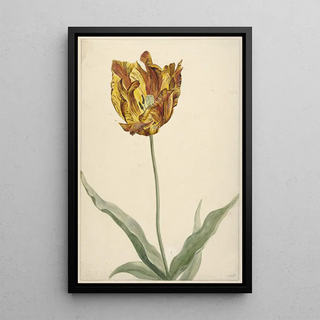 Reproduction of the painting Tulip Painting - Anonymous