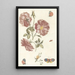 Reproduction of the painting Two branches with roses, four butterflies, and a snail - Anonymous