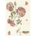 Reproduction of the painting Two branches with roses, four butterflies, and a snail - Anonymous