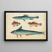 Two green fish two brown fish - Anonymous — framed artwork on a wall