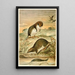 Musaraignes palmées - Anonymous — framed artwork on a wall
