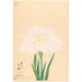 Reproduction of the painting White Cascade Painting Shirataki - Anonymous
